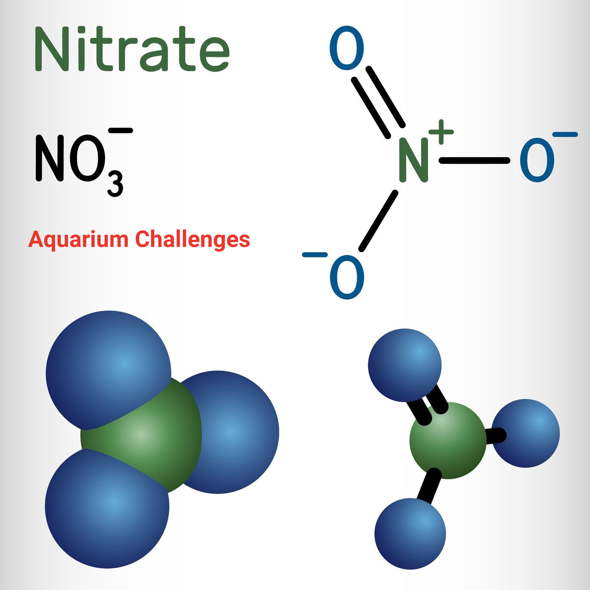 No3 in Aquariums Explained Nitrate