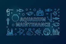 Load image into Gallery viewer, Aquarium Cleaning & Maintenance (4ft and below)