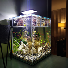 Load image into Gallery viewer, Aquarium Cleaning & Maintenance (4ft and below)
