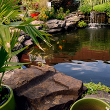 Load image into Gallery viewer, Aquarium Cleaning & Maintenance (4ft and below)