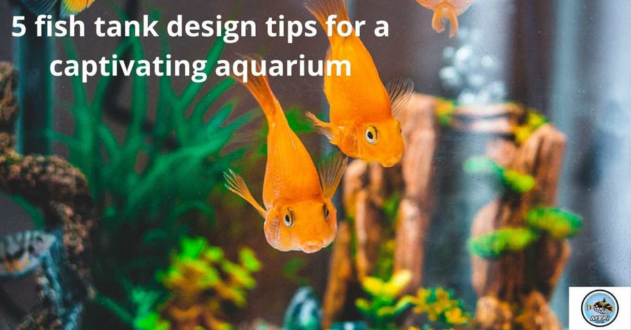5 Fish Tank Design Tips for a Captivating Aquarium