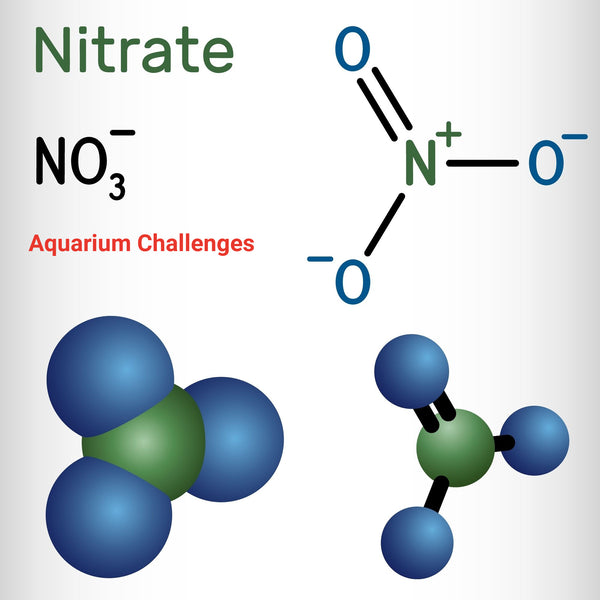 No3 in Aquariums Explained: Nitrate's Role in Your Underwater Ecosystem