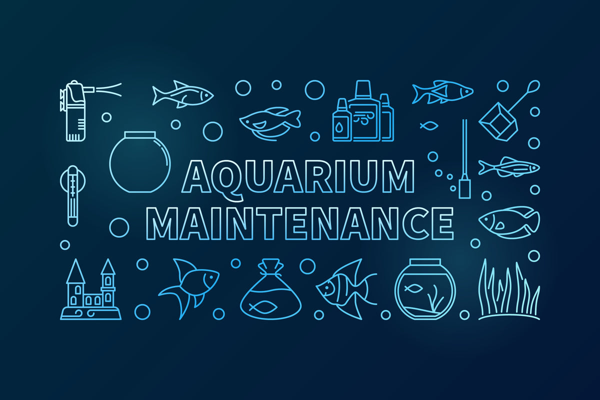 Aquarium maintenance near me