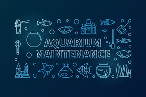Aquarium Cleaning & Maintenance (4ft and below)