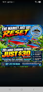 Cardinal Tetra 20 for $30