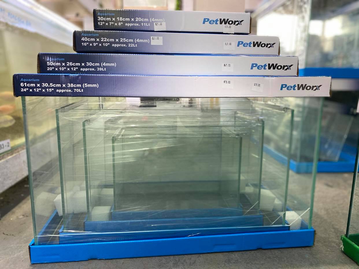 Petworx Tank Melbourne Tropical Fish