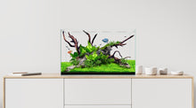 Load image into Gallery viewer, Waterbox Clear Mini 30 - 60x45x45cm 130L
