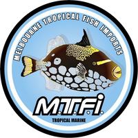 Melbourne Tropical Fish & Aquarium Plants