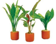 Assorted Terracotta Pots